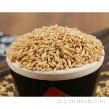 Receita de aveia de arroz